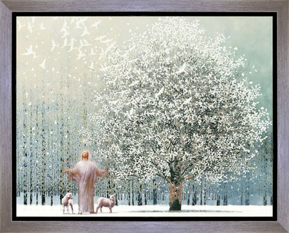 Solitude