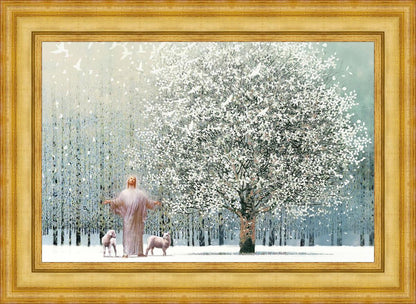 Solitude