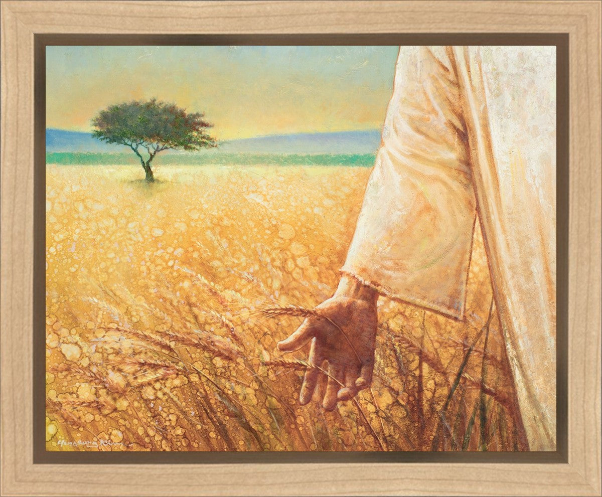 Wheat and Tares