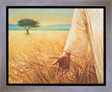 Wheat and Tares Gallery Wrap