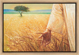 Wheat and Tares Gallery Wrap