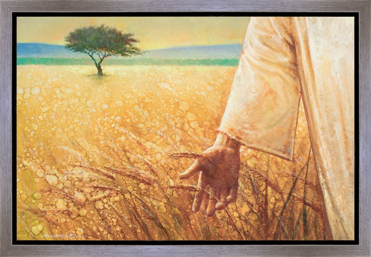 Wheat and Tares