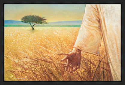 Wheat and Tares