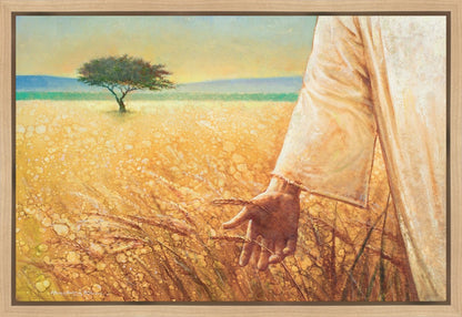 Wheat and Tares