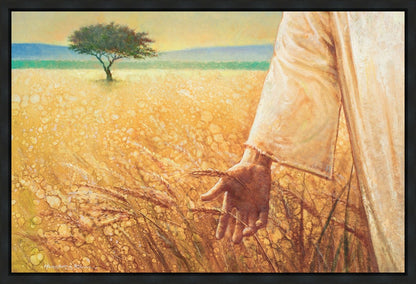 Wheat and Tares