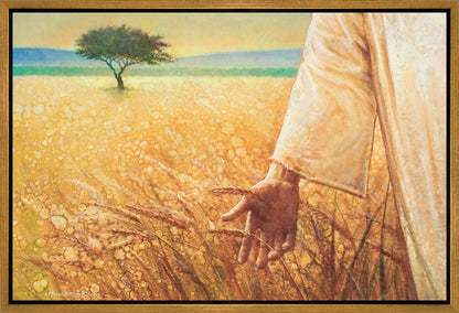 Wheat and Tares