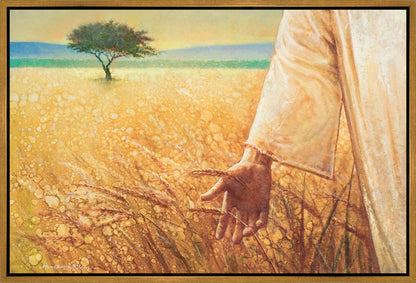 Wheat and Tares