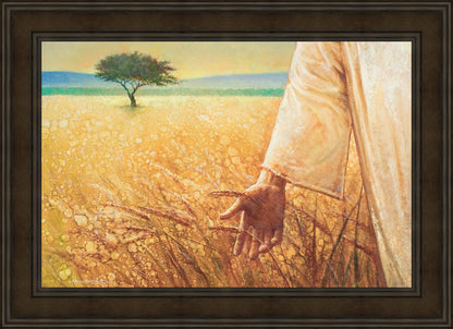 Wheat and Tares