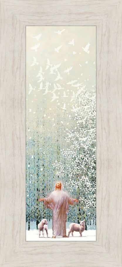 Solitude