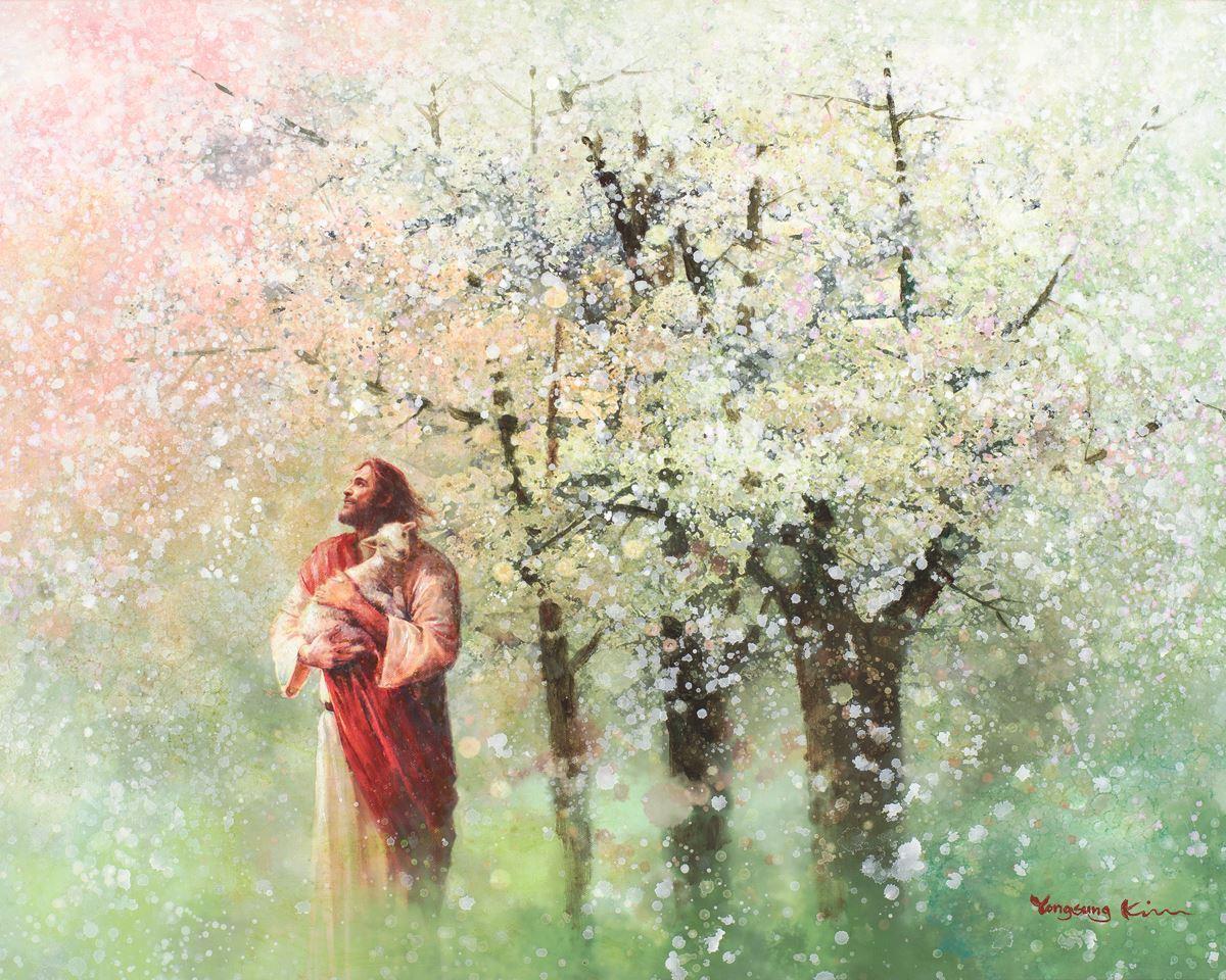 Heavenly Blossoms is a painting that depicts Jesus in a red robe hold his lamb near a blossum tree - Yongsung Kim | LDSArt.com | Christian Artwork