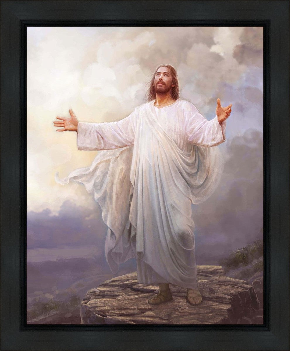 For This Purpose I Have Come Gallery Wrap