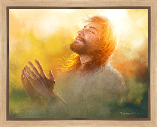 A Perfect Peace