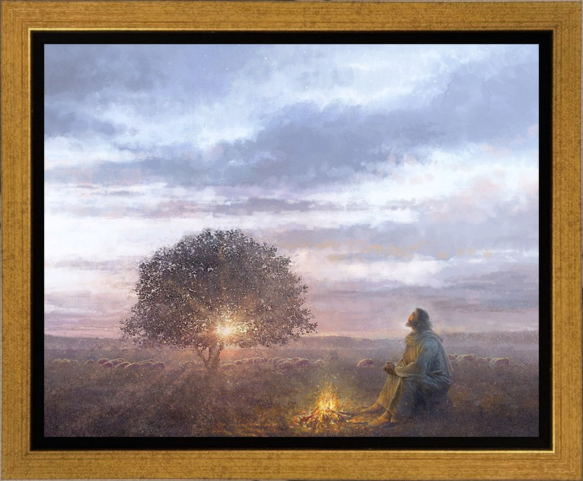 The Light of Life Gallery Wrap