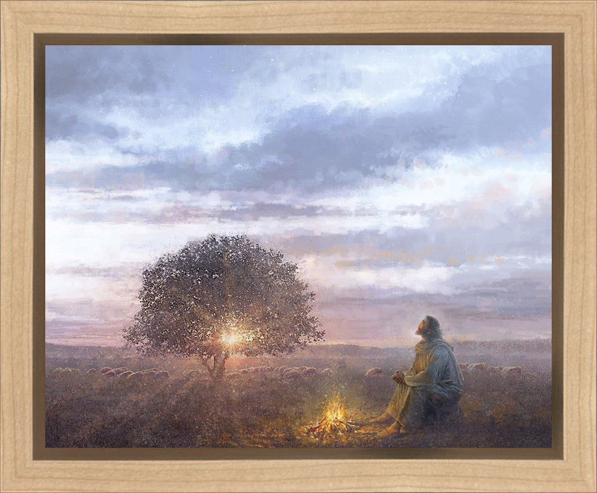 The Light of Life Gallery Wrap