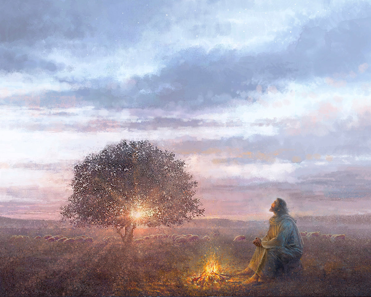 The Light of Life by Yongsung Kim