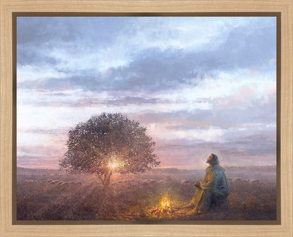 The Light of Life