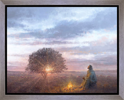 The Light of Life