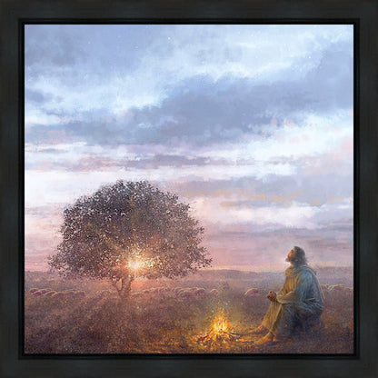 The Light of Life