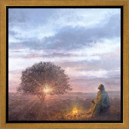 The Light of Life Gallery Wrap