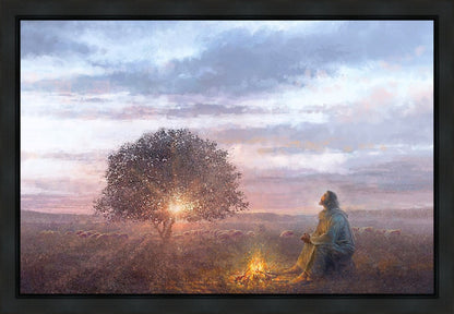 The Light of Life