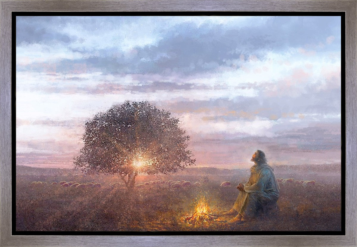 The Light of Life