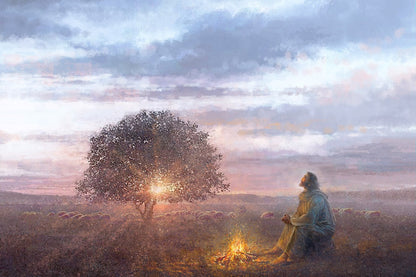The Light of Life Gallery Wrap