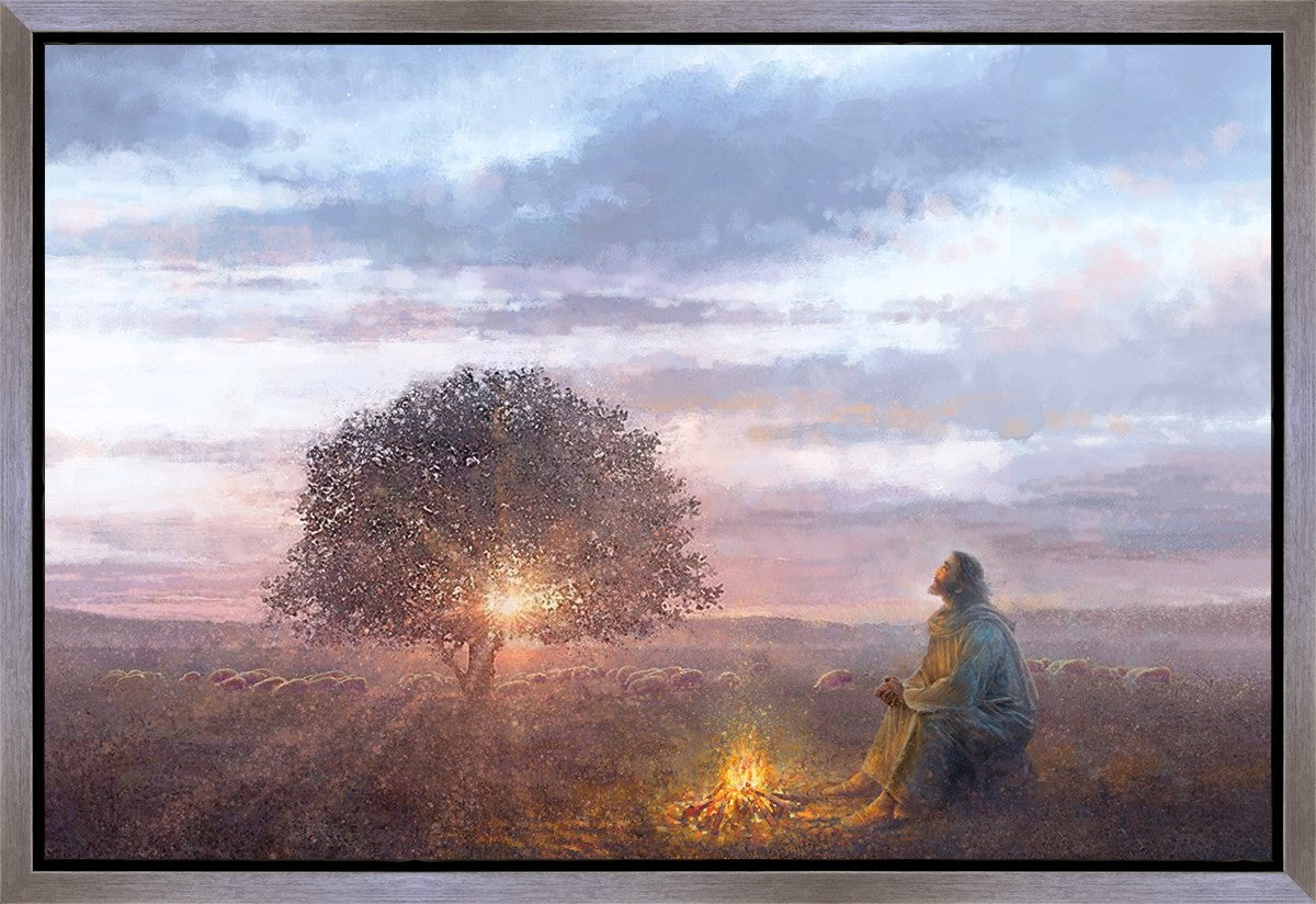 The Light of Life