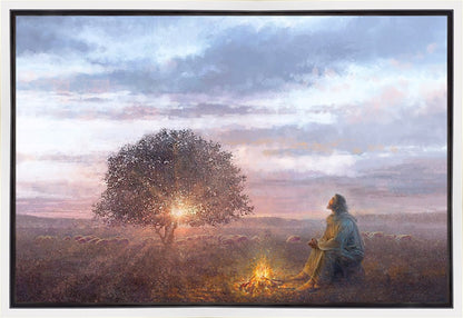 The Light of Life