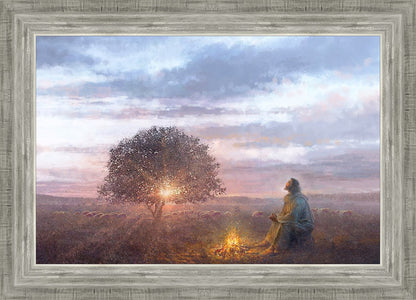 The Light of Life