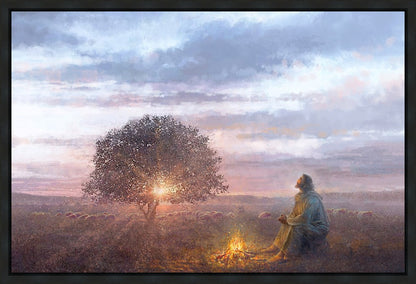 The Light of Life