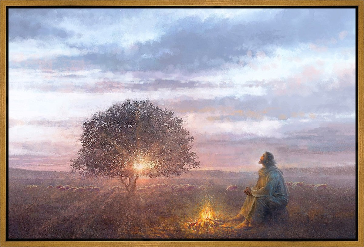 The Light of Life