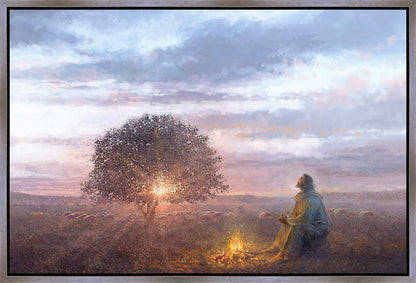 The Light of Life