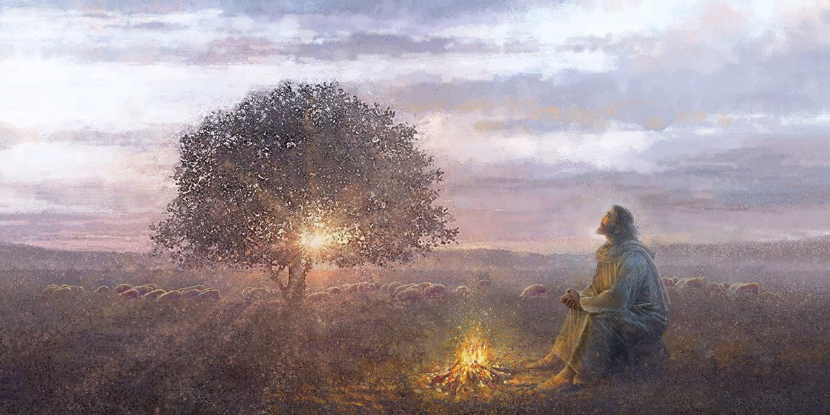 The Light of Life Gallery Wrap