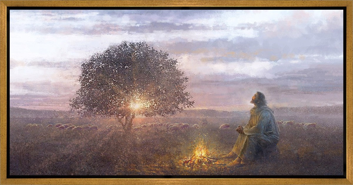 The Light of Life