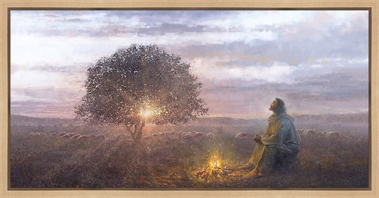 The Light of Life
