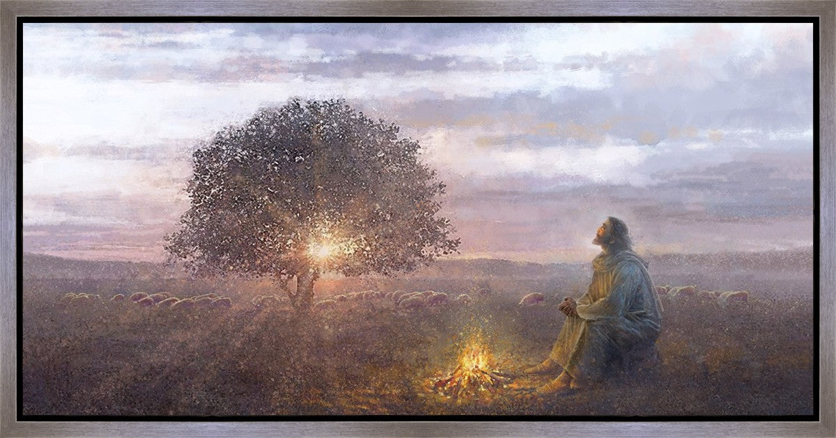 The Light of Life