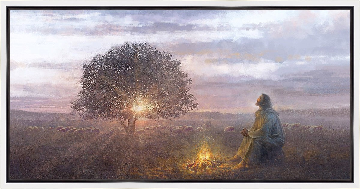The Light of Life