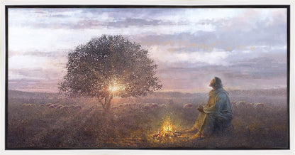 The Light of Life
