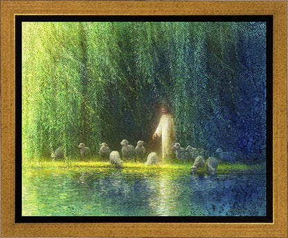 Among the Willows