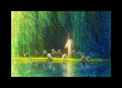 Among the Willows
