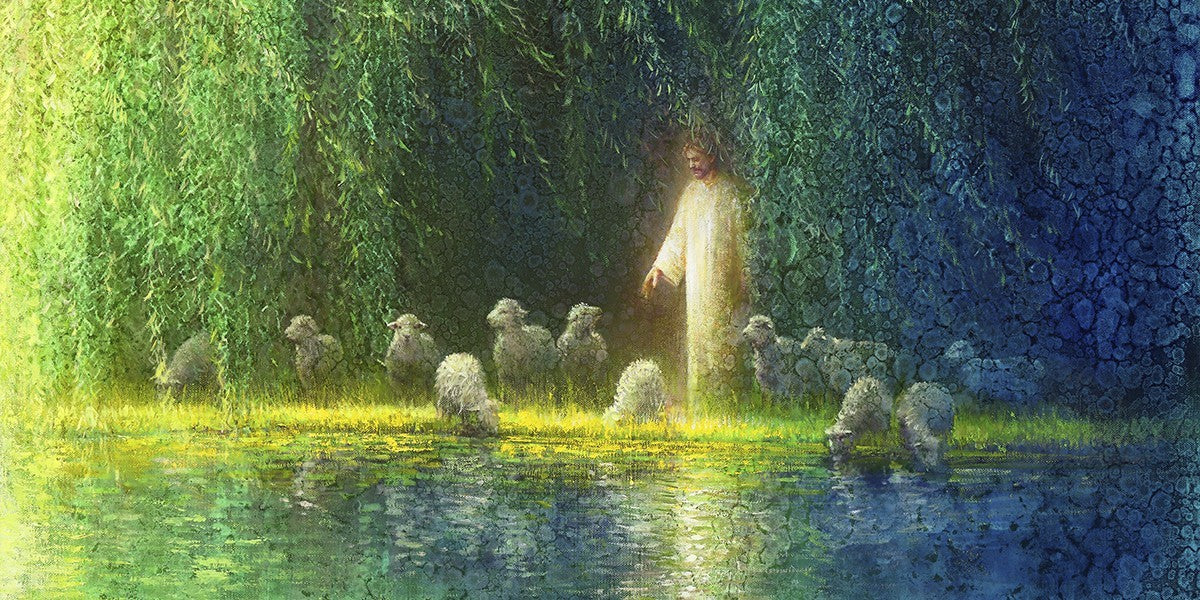 Among the Willows