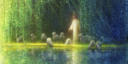 Among the Willows