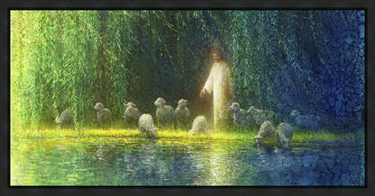 Among the Willows