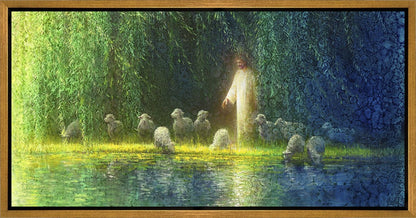 Among the Willows