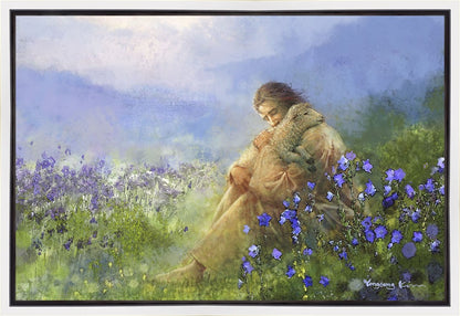 Comforter