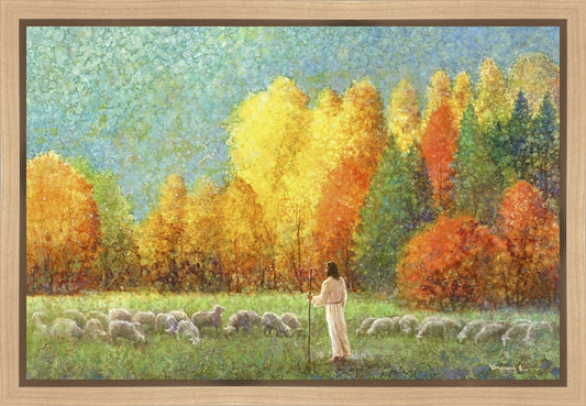 Changing Seasons