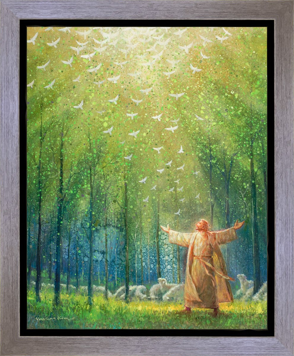 A New Light Shining