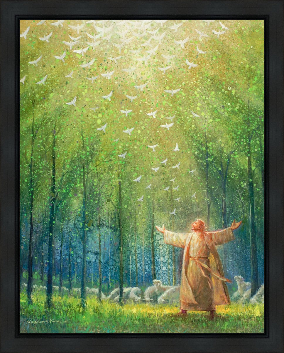 A New Light Shining