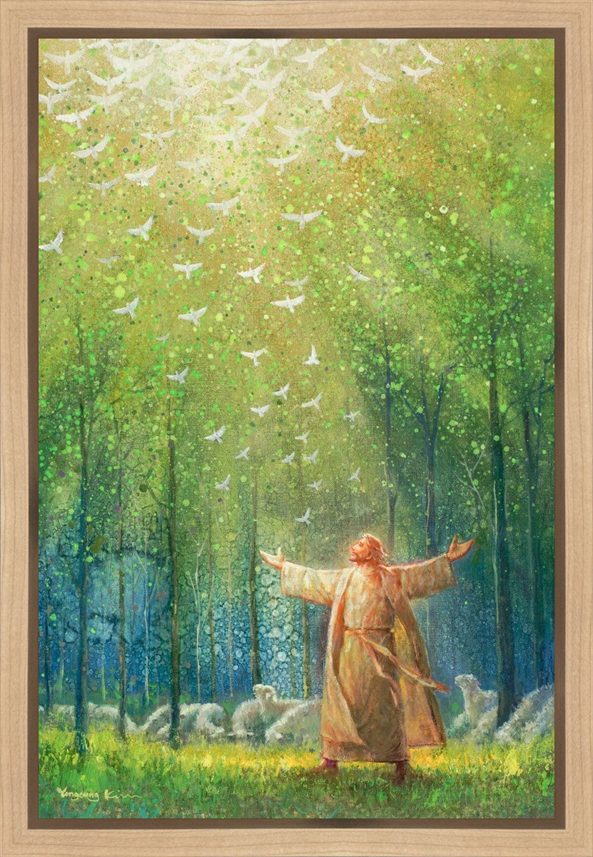 A New Light Shining