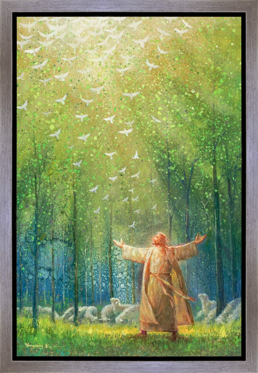 A New Light Shining